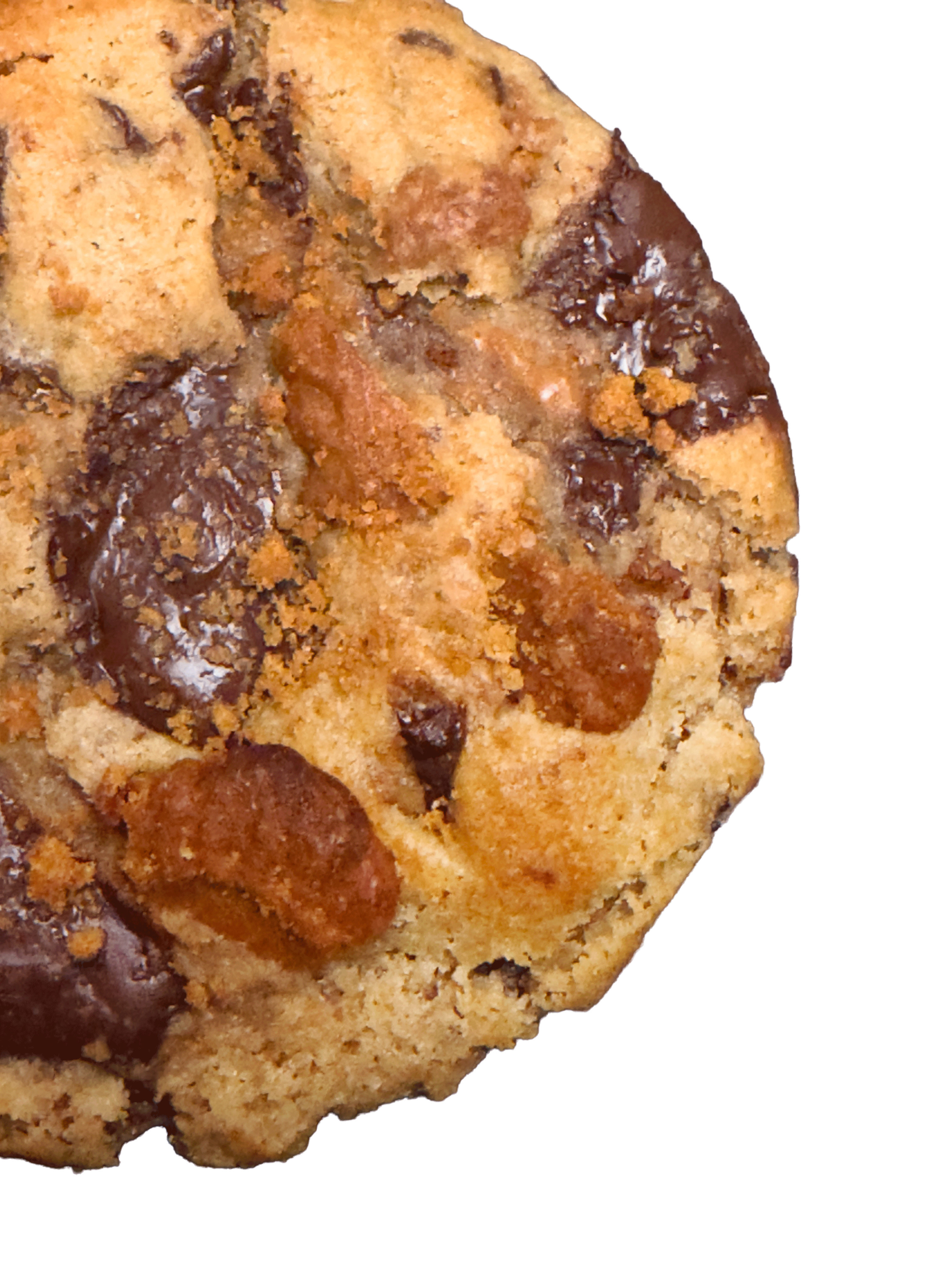 Lotus biscoff espresso luxury cookie UK