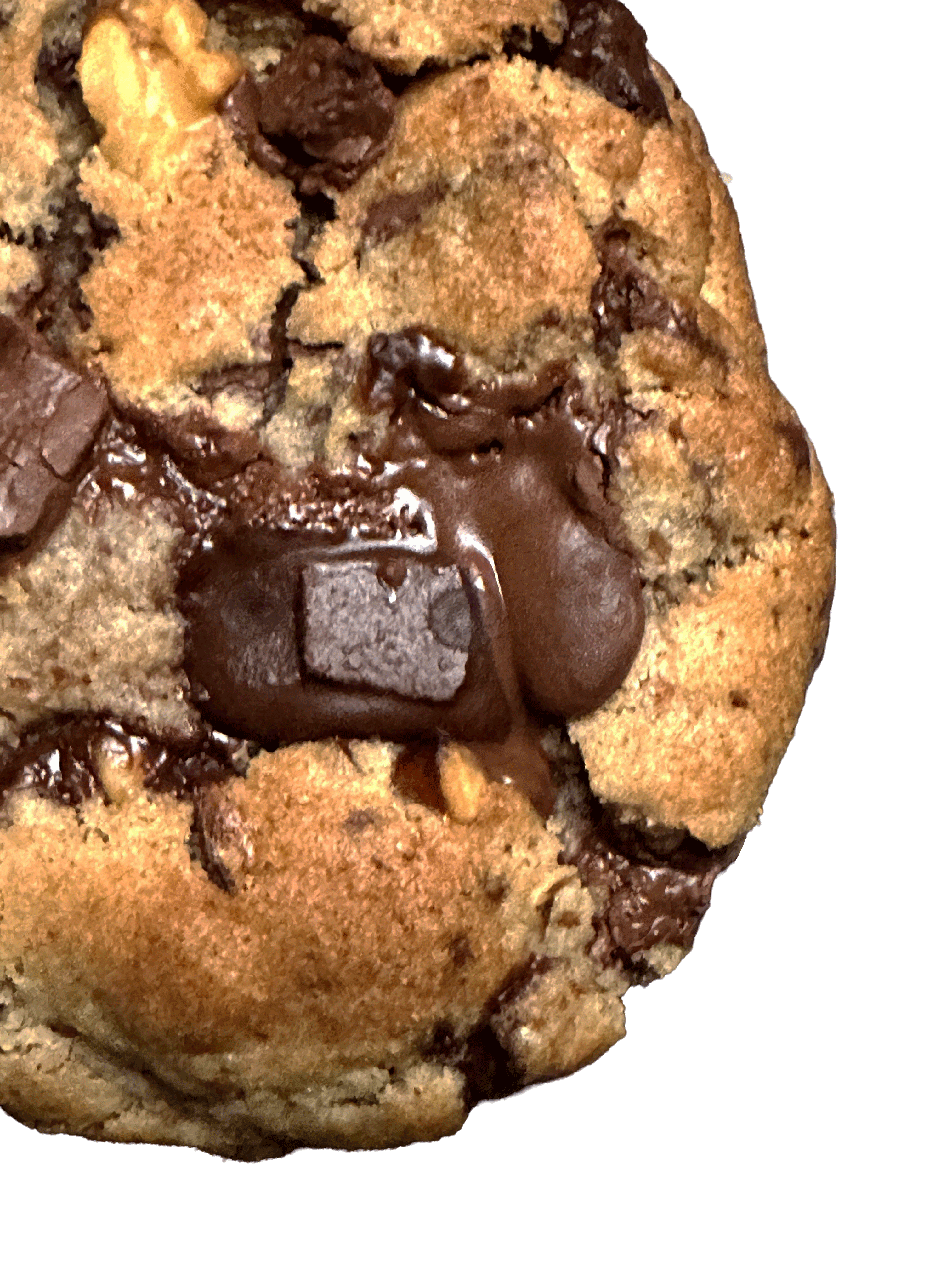 Walnut chocolate spice luxury cookie UK